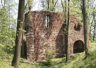 Zcenina hradu Fultejn