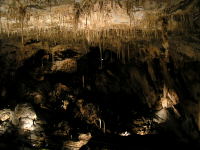 Klikněte na obrázek pro jeho zvětšení