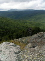 Klikněte na obrázek pro jeho zvětšení