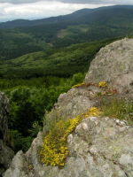 Klikněte na obrázek pro jeho zvětšení