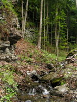 Klikněte na obrázek pro jeho zvětšení