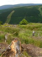 Klikněte na obrázek pro jeho zvětšení