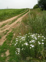 Klikněte na obrázek pro jeho zvětšení