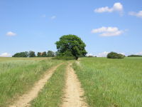 Klikněte na obrázek pro jeho zvětšení