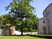 Klikněte na obrázek pro jeho zvětšení