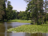 Klikněte na obrázek pro jeho zvětšení