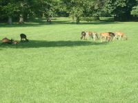 Klikněte na obrázek pro jeho zvětšení