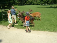 Klikněte na obrázek pro jeho zvětšení