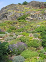 Klikněte na obrázek pro jeho zvětšení