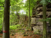 Klikněte na obrázek pro jeho zvětšení