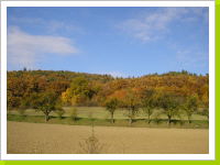 Kliknte na obrzek pro jeho zvten