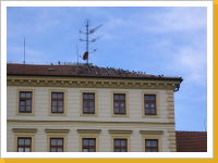 Kliknte na obrzek pro jeho zvten