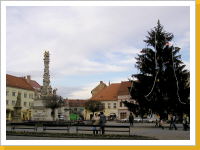 Kliknte na obrzek pro jeho zvten