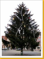 Kliknte na obrzek pro jeho zvten